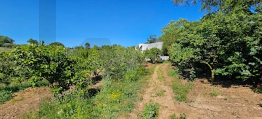 Quinta T9 para Venda em São Domingos e Vale de Água Foto 10