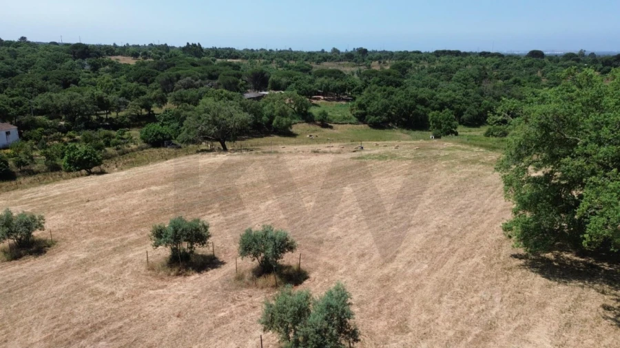 Quinta T9 para Venda em São Domingos e Vale de Água Foto 19