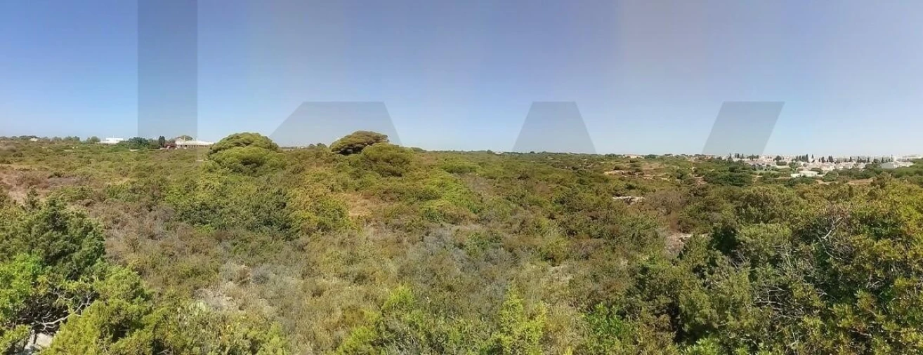 Terreno para Venda em Porches Foto 11