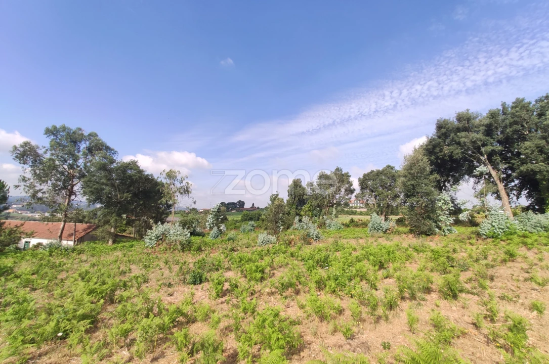 Terreno para Venda em Areias, Sequeirô, Lama e Palmeira Foto 8