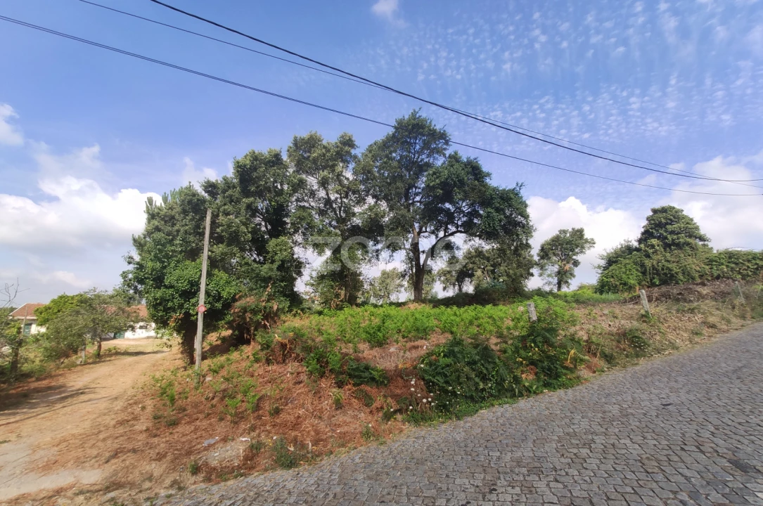 Terreno para Venda em Areias, Sequeirô, Lama e Palmeira Foto 12