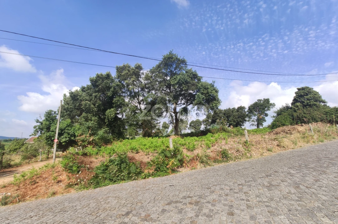 Terreno para Venda em Areias, Sequeirô, Lama e Palmeira Foto 4
