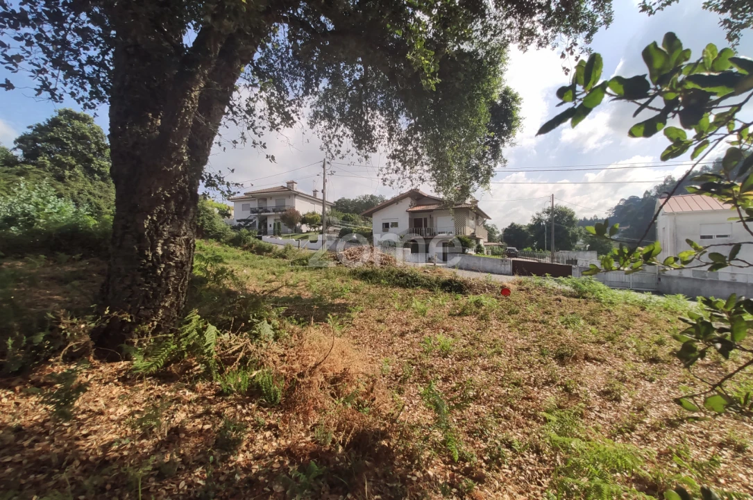 Terreno para Venda em Areias, Sequeirô, Lama e Palmeira Foto 10
