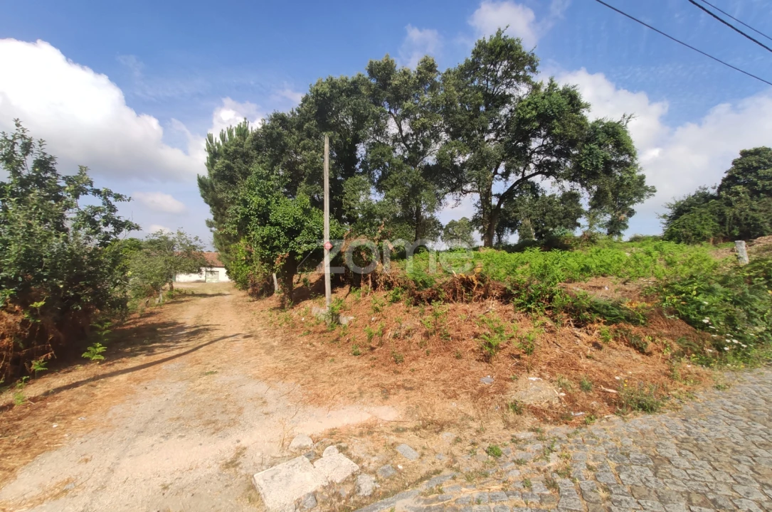 Terreno para Venda em Areias, Sequeirô, Lama e Palmeira Foto 11