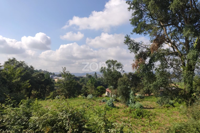 Terreno para Venda em Areias, Sequeirô, Lama e Palmeira Foto 7