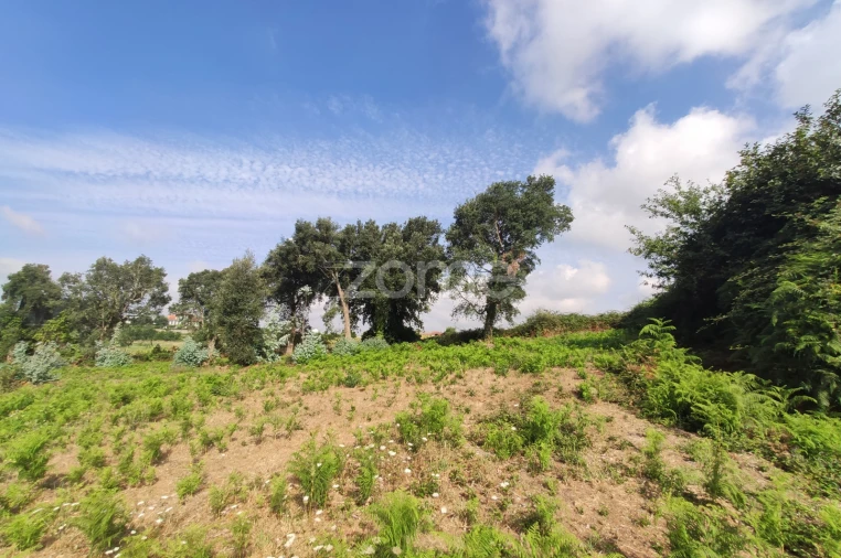 Terreno para Venda em Areias, Sequeirô, Lama e Palmeira Foto 9