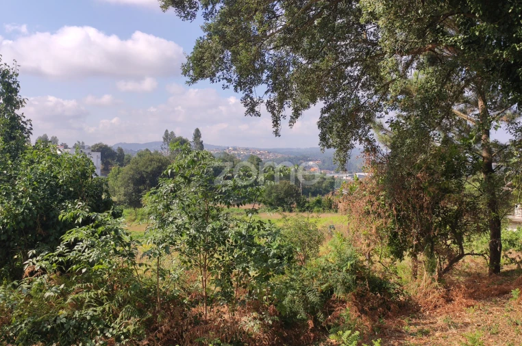 Terreno para Venda em Areias, Sequeirô, Lama e Palmeira Foto 1
