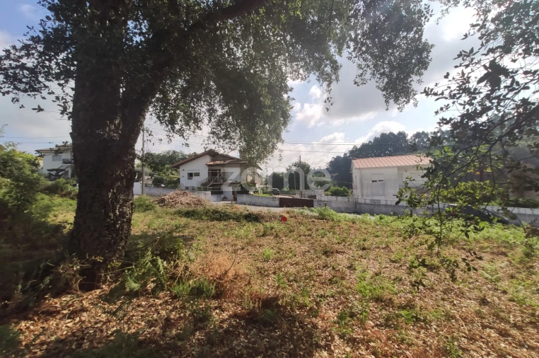 Terreno para Venda em Areias, Sequeirô, Lama e Palmeira Foto 6