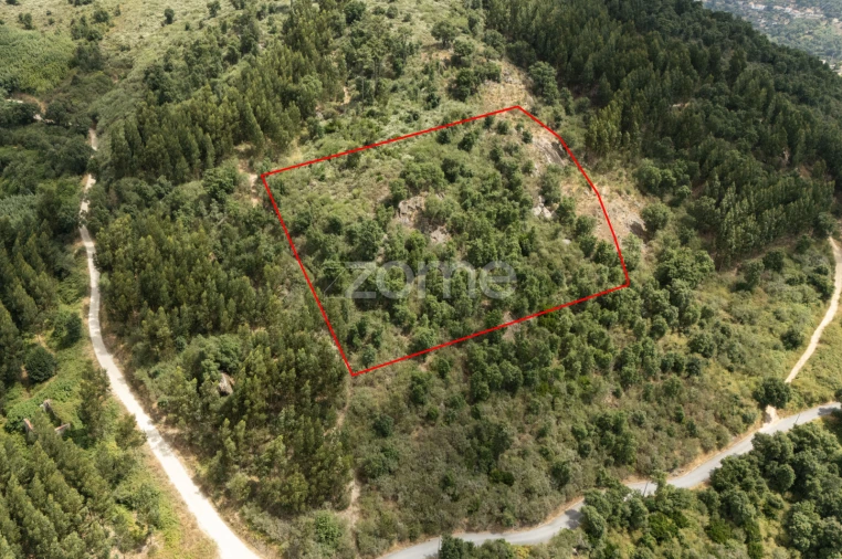 Moradia T4 para Venda em Gove Foto 73