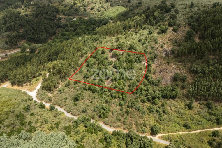 Moradia T4 para Venda em Gove Foto 75