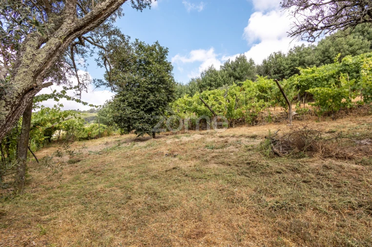 Moradia T4 para Venda em Gove Foto 36