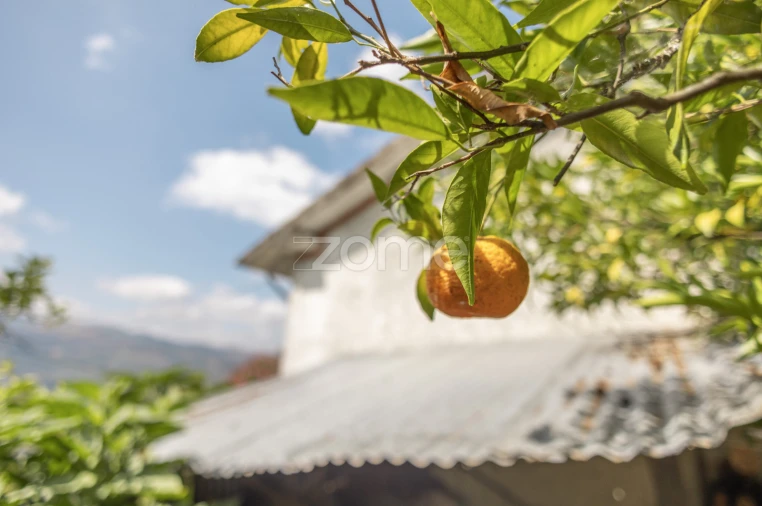 Moradia T4 para Venda em Gove Foto 48