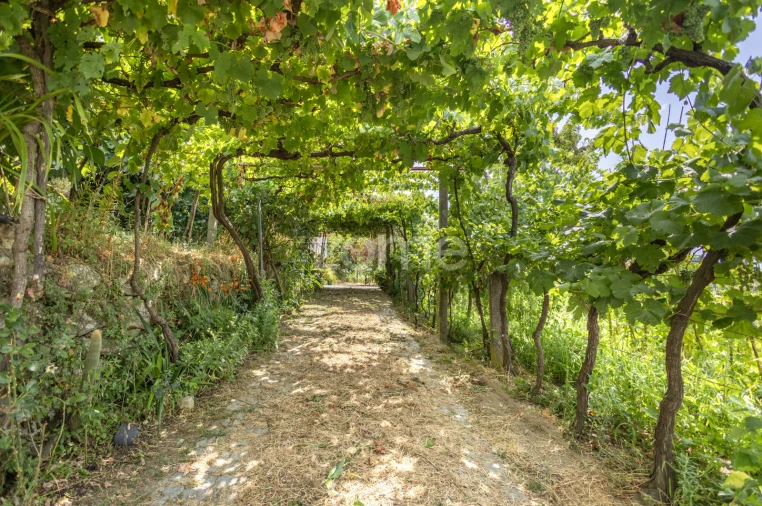 Moradia T4 para Venda em Gove Foto 52