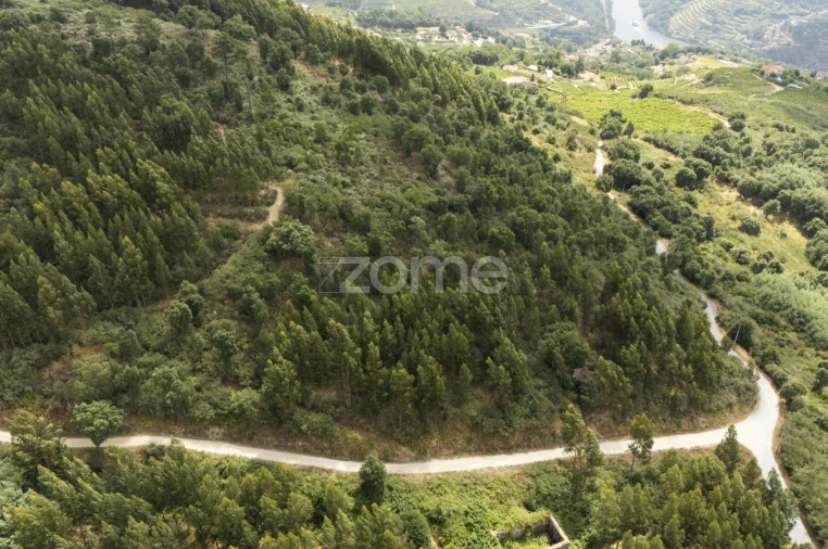 Moradia T4 para Venda em Gove Foto 70