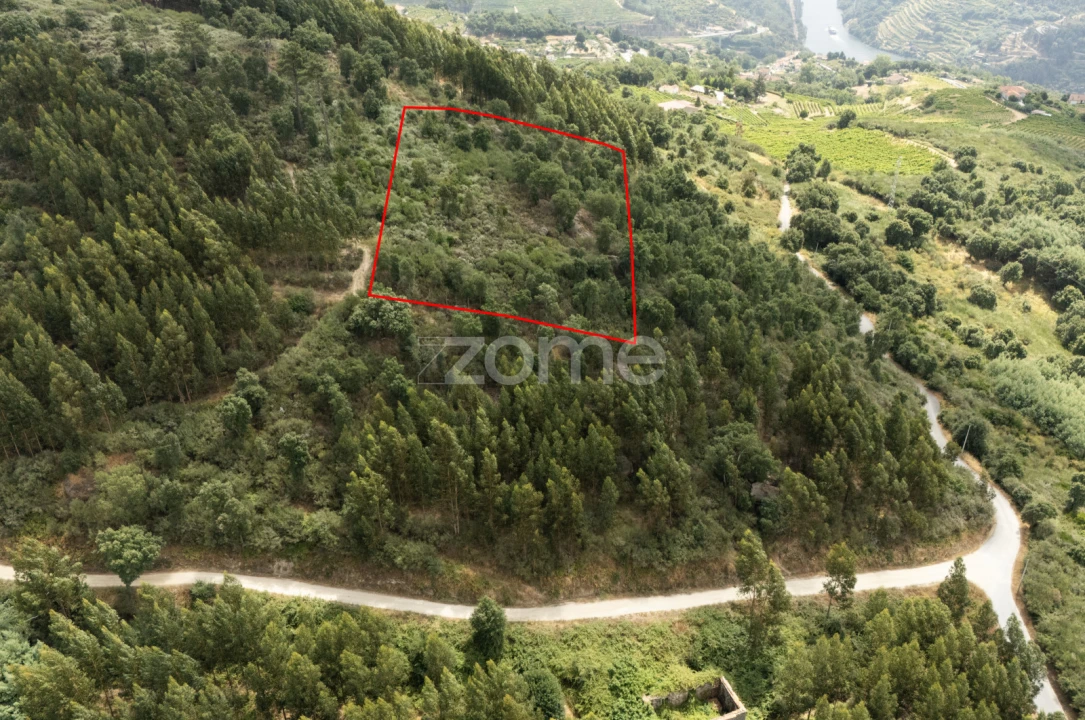 Moradia T4 para Venda em Gove Foto 69