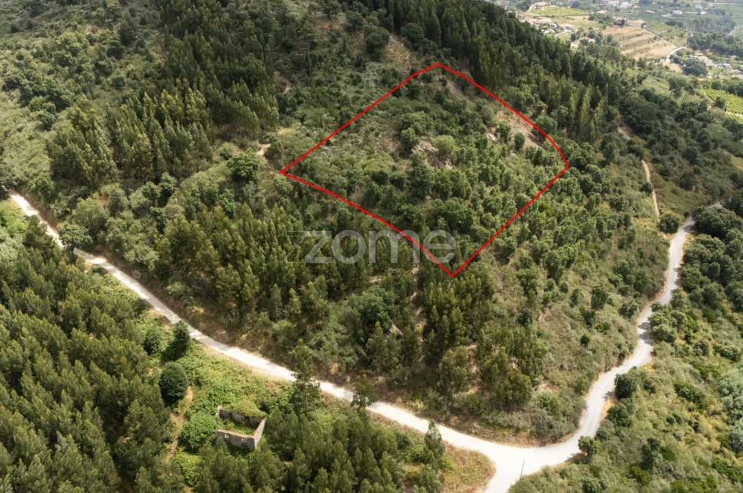 Moradia T4 para Venda em Gove Foto 71