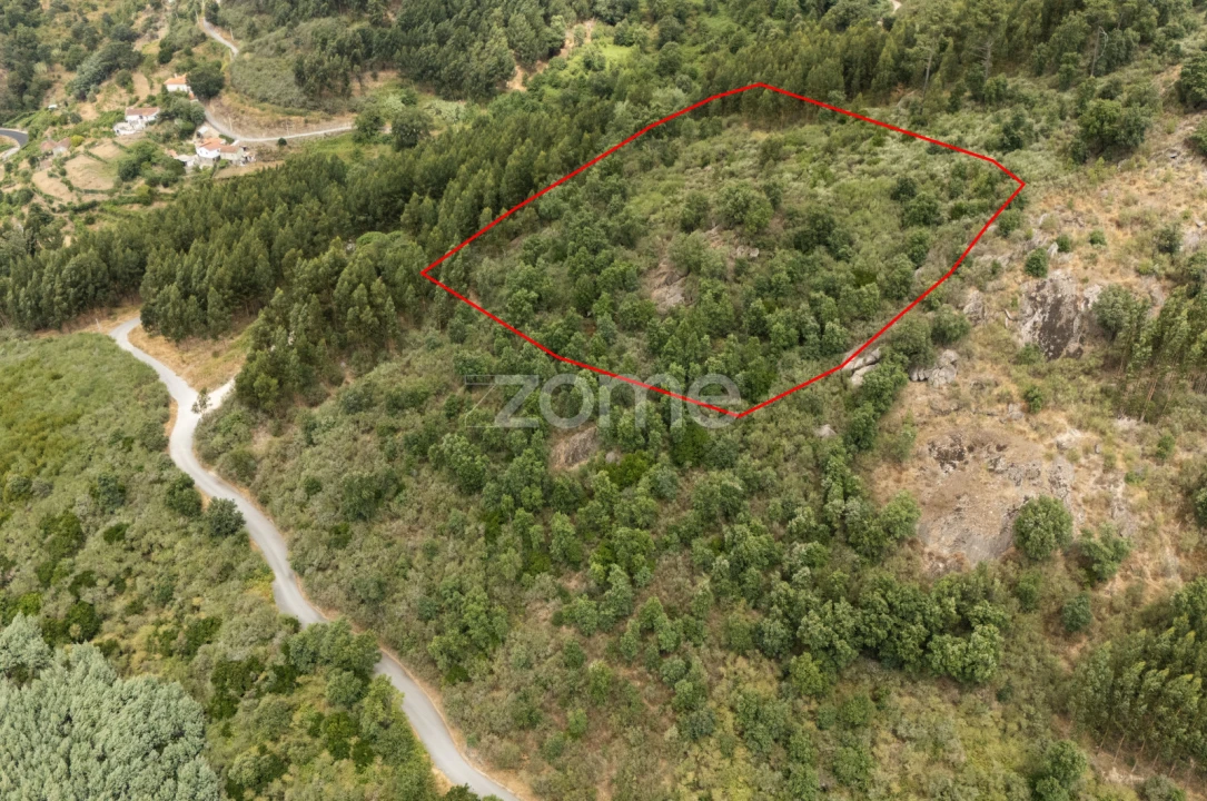 Moradia T4 para Venda em Gove Foto 1