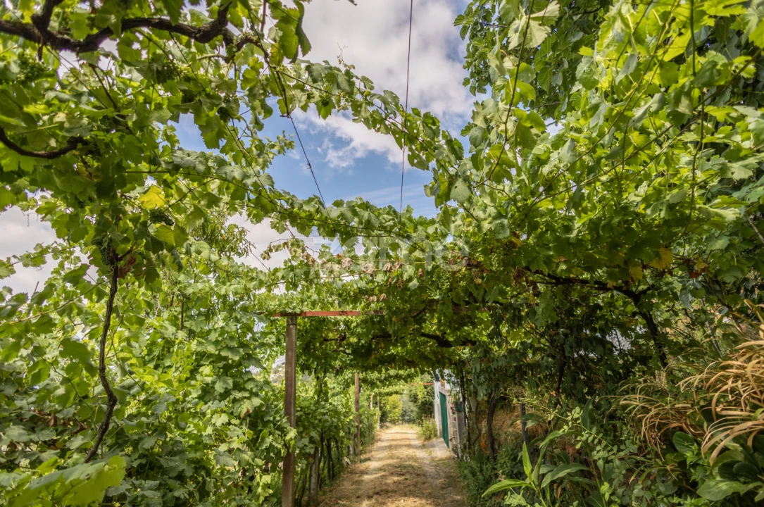 Moradia T4 para Venda em Gove Foto 51