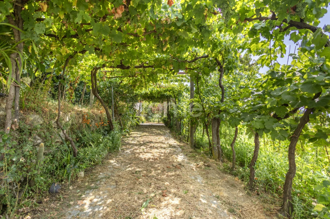 Moradia T4 para Venda em Gove Foto 52