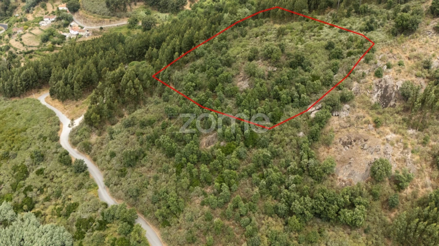 Moradia T4 para Venda em Gove