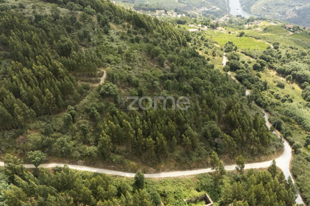 Moradia T4 para Venda em Gove Foto 70