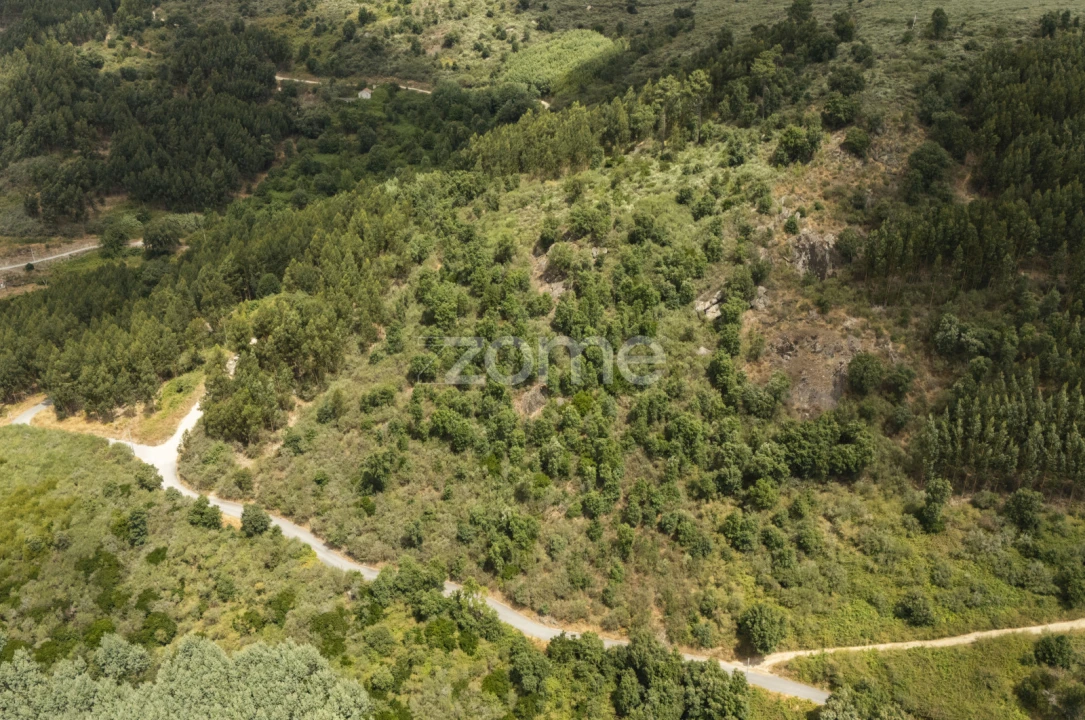 Moradia T4 para Venda em Gove Foto 75