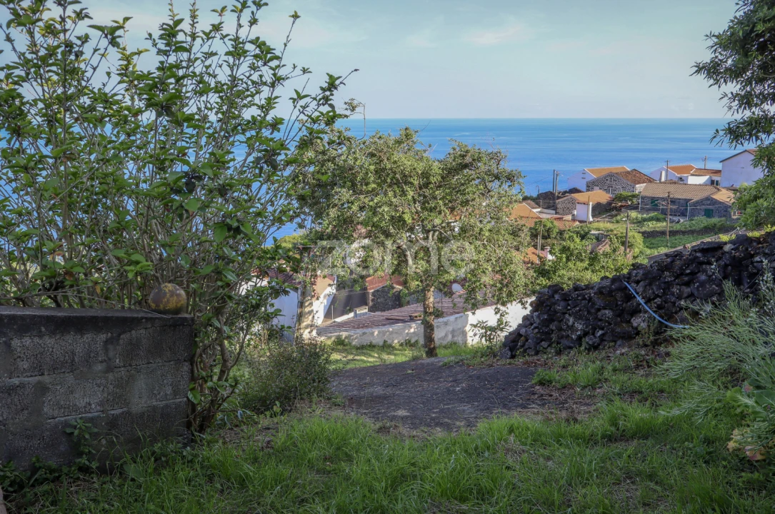 Moradia T4 para Venda em Ribeiras Foto 9