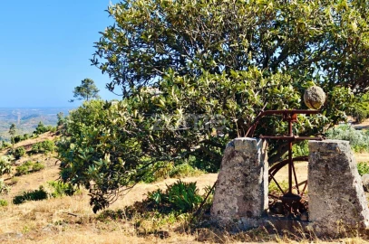 Moradia T2 para Venda em Monchique