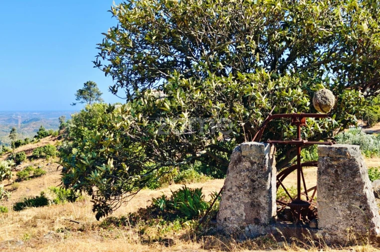 Moradia T2 para Venda em Monchique Foto 24