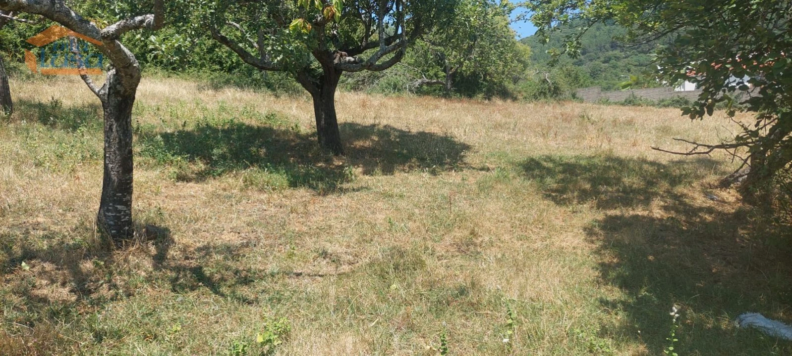 Moradia T11 para Venda em Vinhais Foto 5