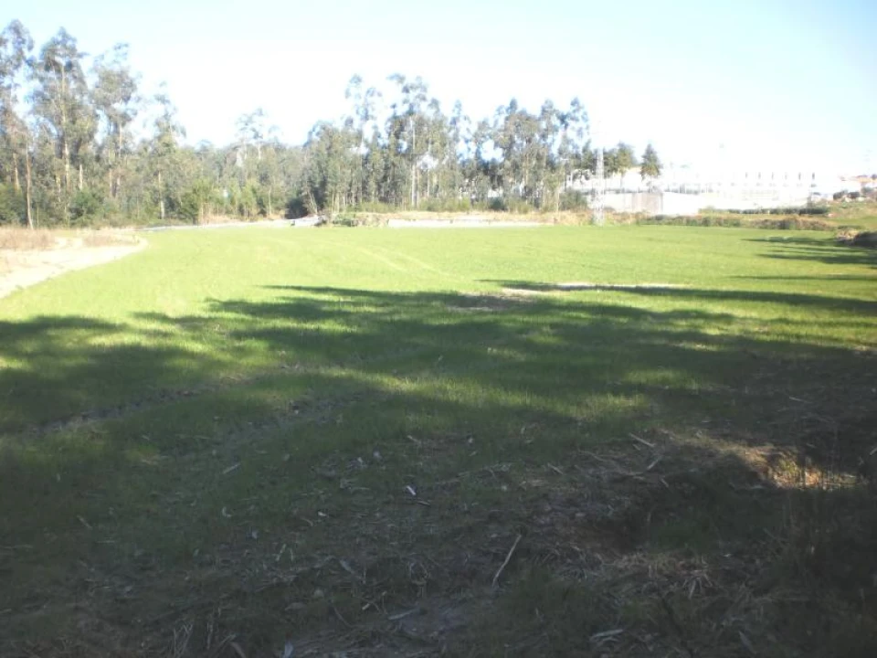 Terreno para Venda em Gião Foto 1