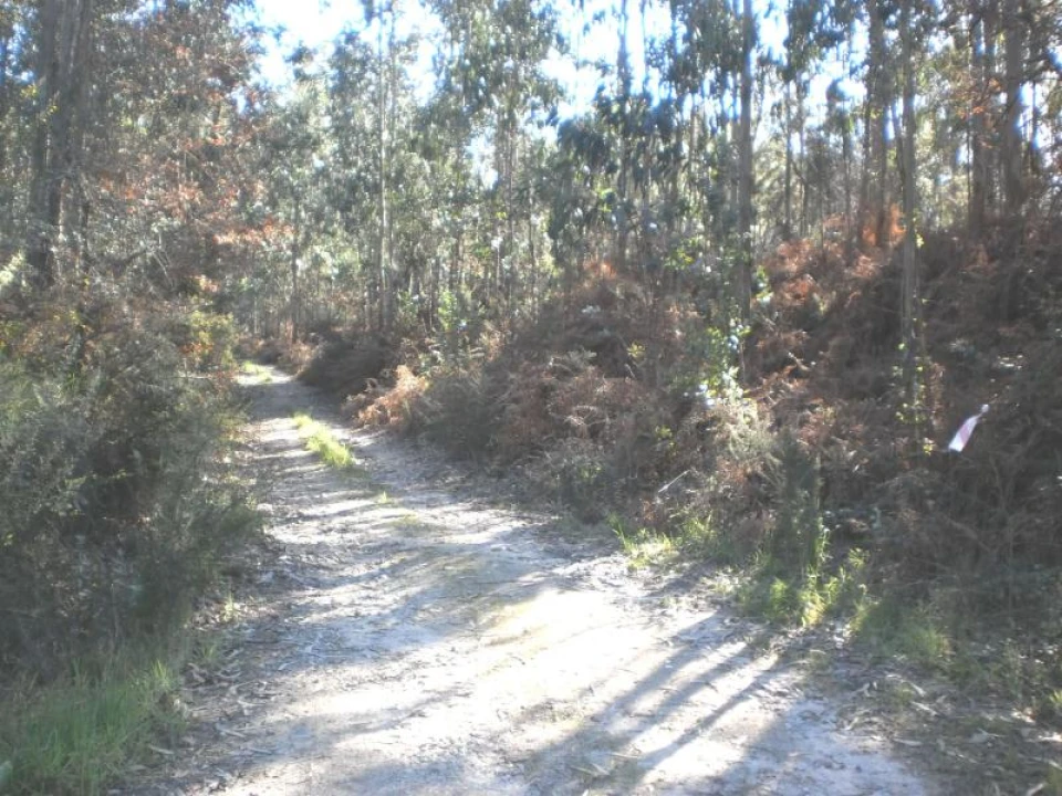 Terreno para Venda em Gião Foto 2