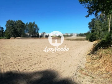 Terreno para Venda em Gião