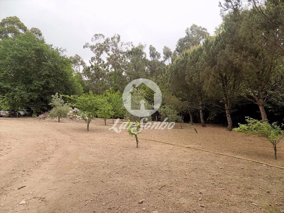 Terreno para Venda em Cruz Foto 5