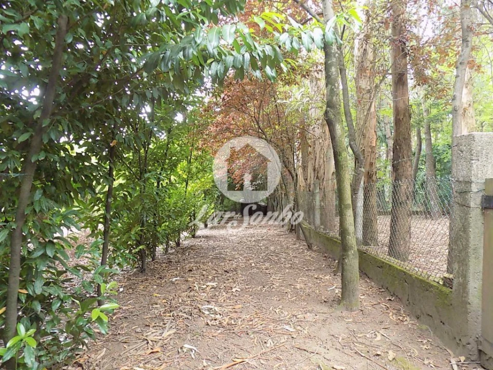 Terreno para Venda em Cruz Foto 9