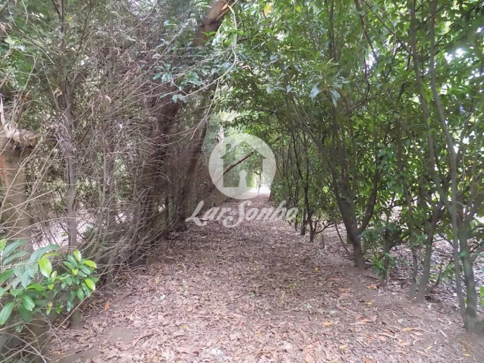 Terreno para Venda em Cruz Foto 10