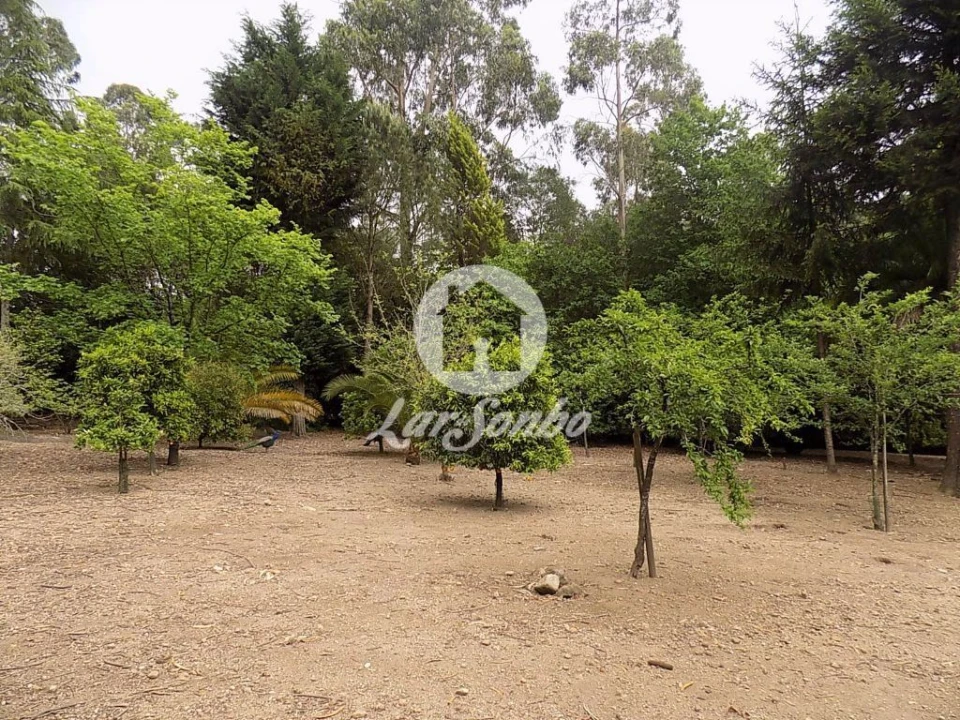 Terreno para Venda em Cruz Foto 15