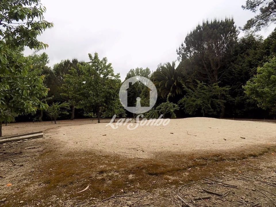 Terreno para Venda em Cruz Foto 16