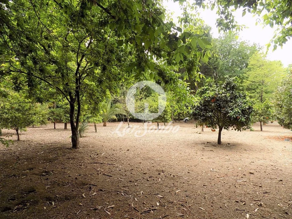 Terreno para Venda em Cruz Foto 19