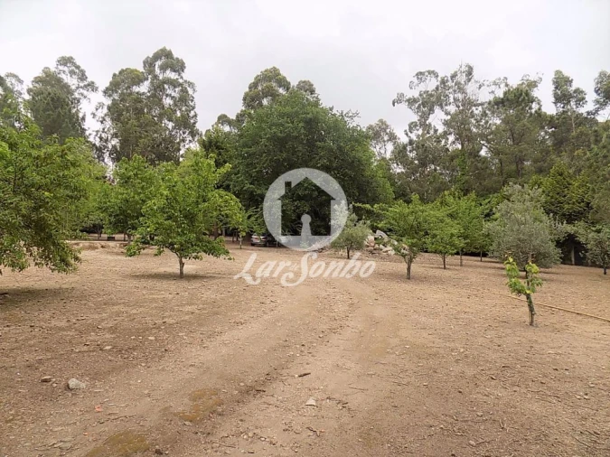 Terreno para Venda em Cruz Foto 1