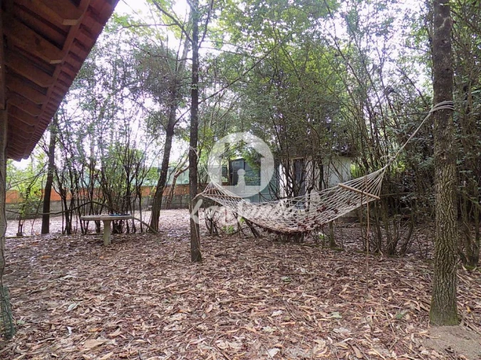 Terreno para Venda em Cruz Foto 6