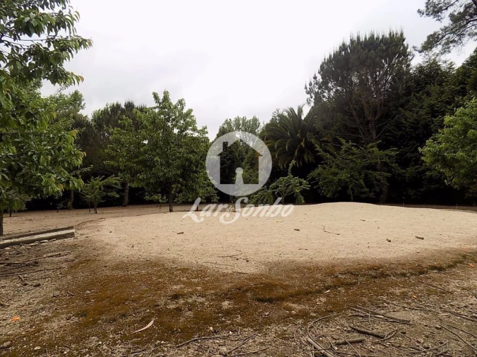 Terreno para Venda em Cruz Foto 16