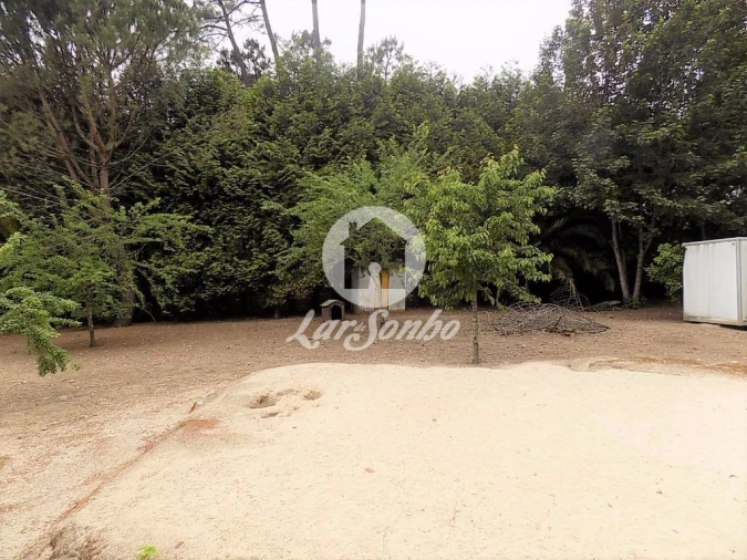 Terreno para Venda em Cruz Foto 18