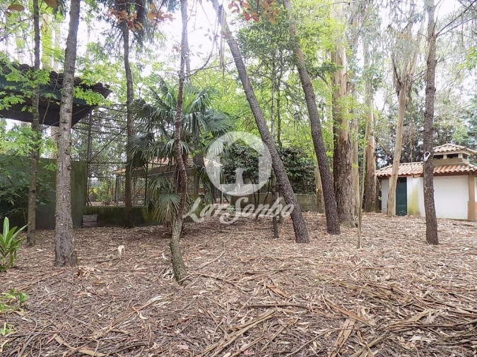 Terreno para Venda em Cruz Foto 20