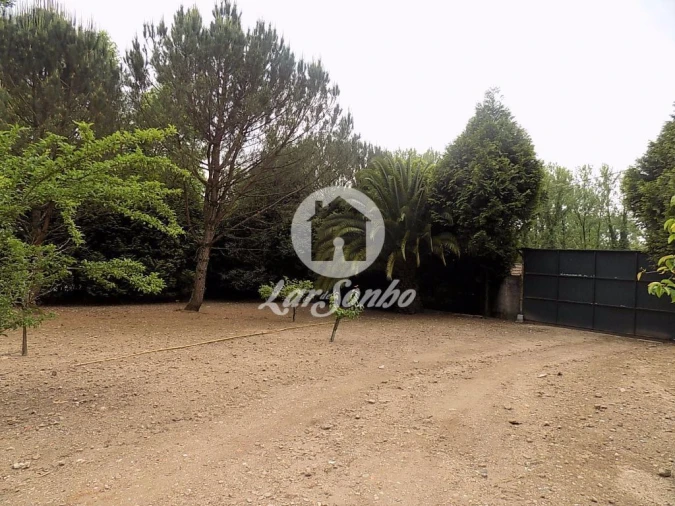 Terreno para Venda em Cruz Foto 21