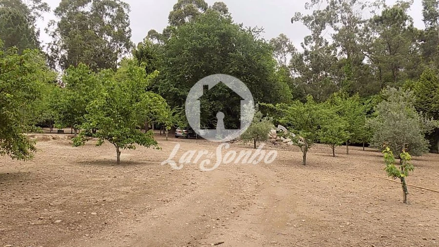 Terreno para Venda em Cruz