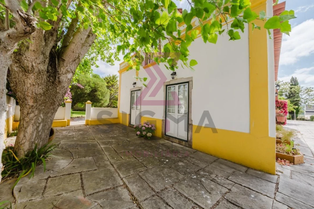 Quinta T8 para Venda em Roliça Foto 47