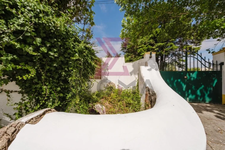 Quinta T8 para Venda em Roliça Foto 46