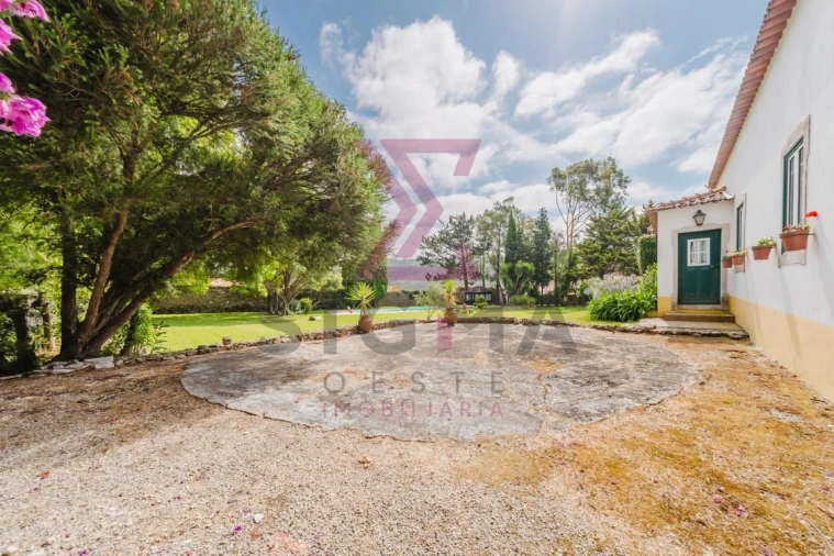 Quinta T8 para Venda em Roliça Foto 48