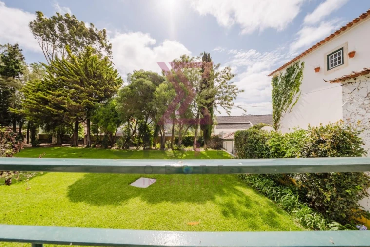 Quinta T8 para Venda em Roliça Foto 42